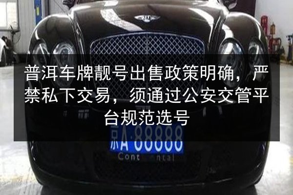 普洱车牌靓号出售政策明确，严禁私下交易，须通过公安交管平台规范选号 第2张
