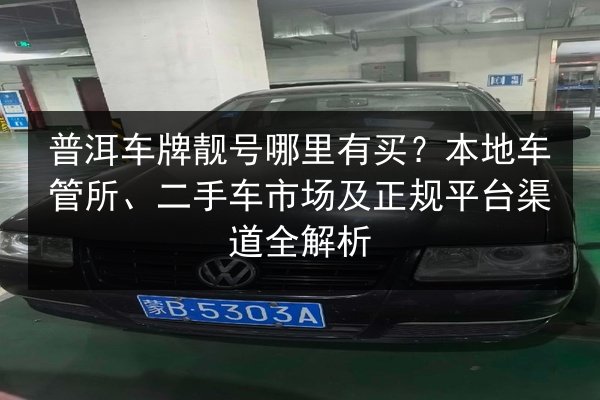 普洱车牌靓号哪里有买？本地车管所、二手车市场及正规平台渠道全解析 第3张