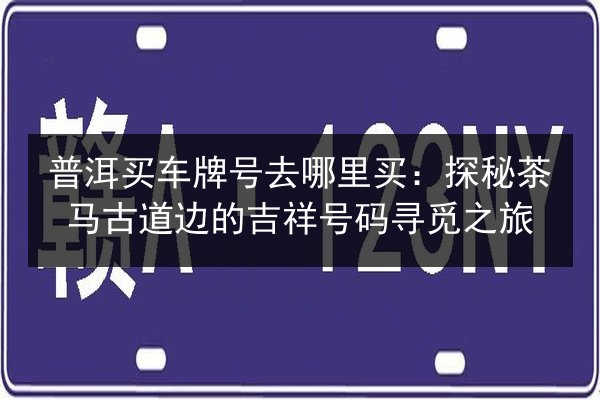 普洱买车牌号去哪里买：探秘茶马古道边的吉祥号码寻觅之旅 第2张