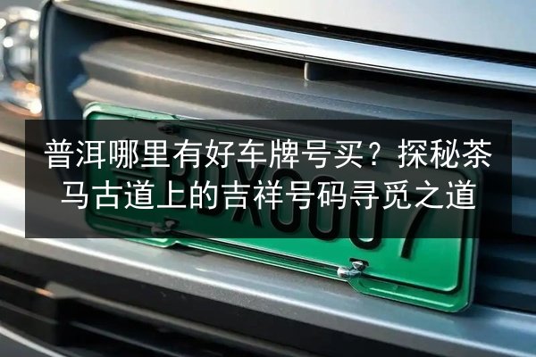 普洱哪里有好车牌号买？探秘茶马古道上的吉祥号码寻觅之道 第2张