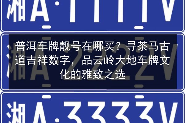 普洱车牌靓号在哪买？寻茶马古道吉祥数字，品云岭大地车牌文化的雅致之选 第2张
