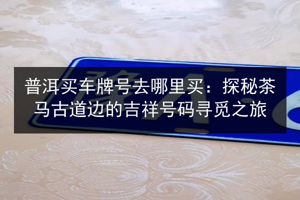 普洱买车牌号去哪里买：探秘茶马古道边的吉祥号码寻觅之旅 第3张