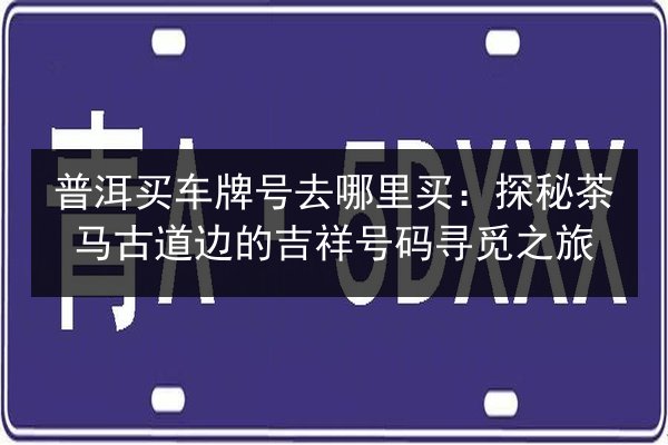 普洱买车牌号去哪里买：探秘茶马古道边的吉祥号码寻觅之旅 第4张