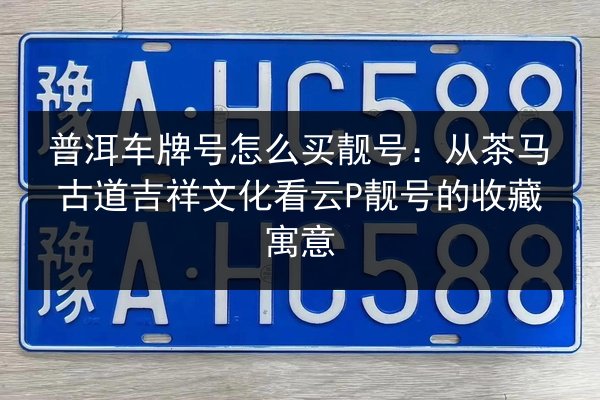 普洱车牌号怎么买靓号：从茶马古道吉祥文化看云P靓号的收藏寓意 第2张