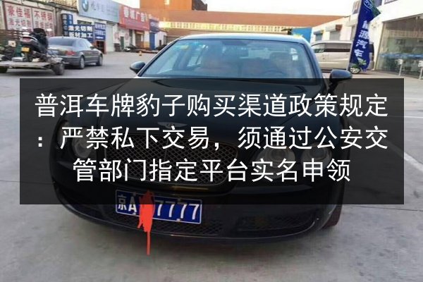 普洱车牌豹子购买渠道政策规定：严禁私下交易，须通过公安交管部门指定平台实名申领 第2张