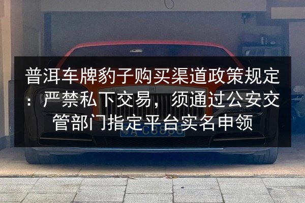 普洱车牌豹子购买渠道政策规定：严禁私下交易，须通过公安交管部门指定平台实名申领 第3张