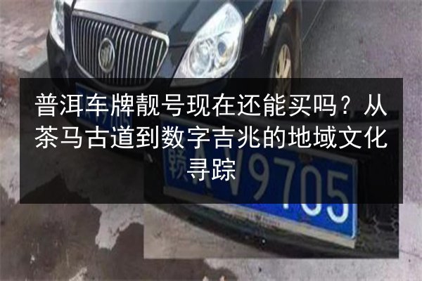 普洱车牌靓号现在还能买吗？从茶马古道到数字吉兆的地域文化寻踪 第1张