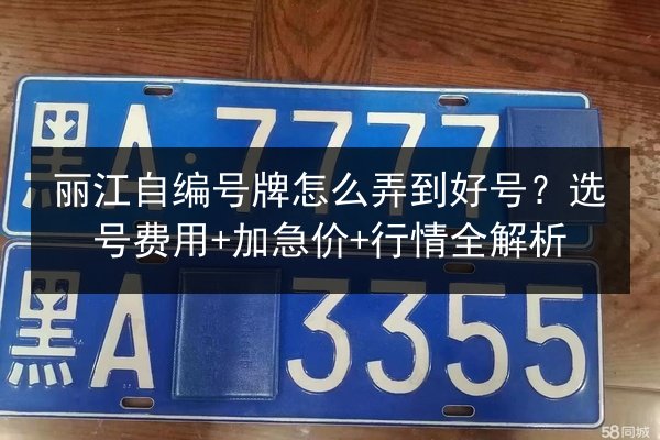 丽江自编号牌怎么弄到好号？选号费用+加急价+行情全解析 第2张