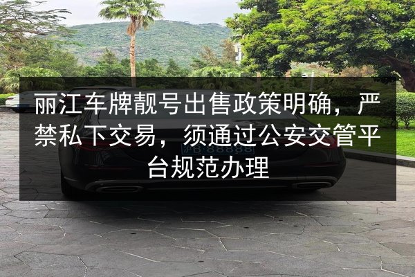 丽江车牌靓号出售政策明确，严禁私下交易，须通过公安交管平台规范办理 第3张