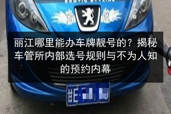丽江哪里能办车牌靓号的？揭秘车管所内部选号规则与不为人知的预约内幕