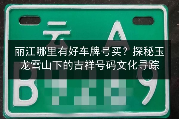 丽江哪里有好车牌号买?探秘玉龙雪山下的吉祥号码文化寻踪 第1张 丽江哪里有好车牌号买?探秘玉龙雪山下的吉祥号码文化寻踪 第1张