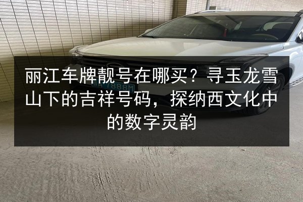 丽江车牌靓号在哪买？寻玉龙雪山下的吉祥号码，探纳西文化中的数字灵韵 第2张