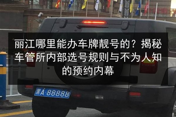 丽江哪里能办车牌靓号的?揭秘车管所内部选号规则与不为人知的预约内幕 第3张 丽江哪里能办车牌靓号的?揭秘车管所内部选号规则与不为人知的预约内幕 第3张