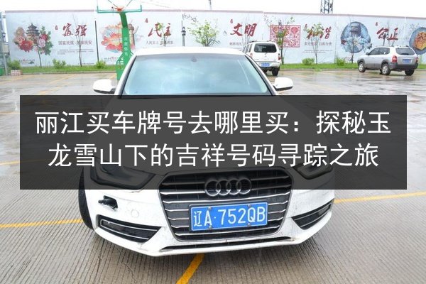 丽江买车牌号去哪里买：探秘玉龙雪山下的吉祥号码寻踪之旅 第2张