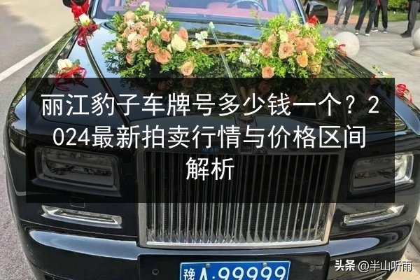 丽江豹子车牌号多少钱一个?2024最新拍卖行情与价格区间解析 第2张 丽江豹子车牌号多少钱一个?2024最新拍卖行情与价格区间解析 第2张