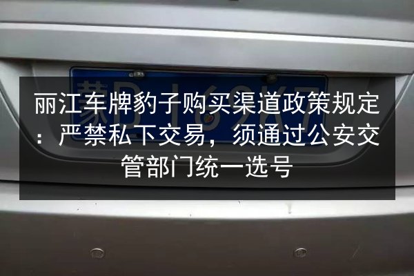 丽江车牌豹子购买渠道政策规定：严禁私下交易，须通过公安交管部门统一选号 第2张