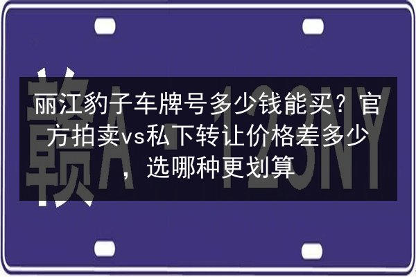 丽江豹子车牌号多少钱能买？官方拍卖vs私下转让价格差多少，选哪种更划算