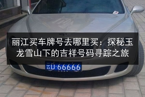 丽江买车牌号去哪里买：探秘玉龙雪山下的吉祥号码寻踪之旅 第3张