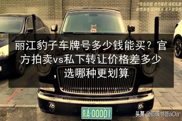 丽江豹子车牌号多少钱能买?官方拍卖vs私下转让价格差多少,选哪种更划算 第3张 丽江豹子车牌号多少钱能买?官方拍卖vs私下转让价格差多少,选哪种更划算 第3张