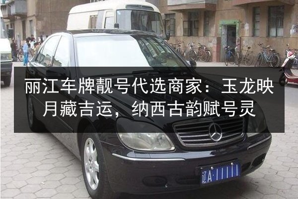 丽江车牌靓号代选商家:玉龙映月藏吉运,纳西古韵赋号灵 第1张 丽江车牌靓号代选商家:玉龙映月藏吉运,纳西古韵赋号灵 第1张