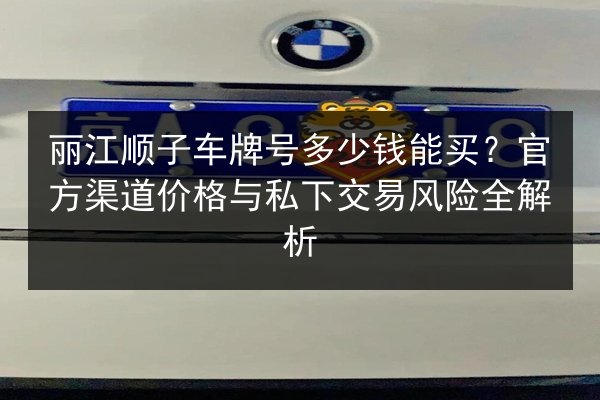 丽江顺子车牌号多少钱能买?官方渠道价格与私下交易风险全解析 第3张 丽江顺子车牌号多少钱能买?官方渠道价格与私下交易风险全解析 第3张