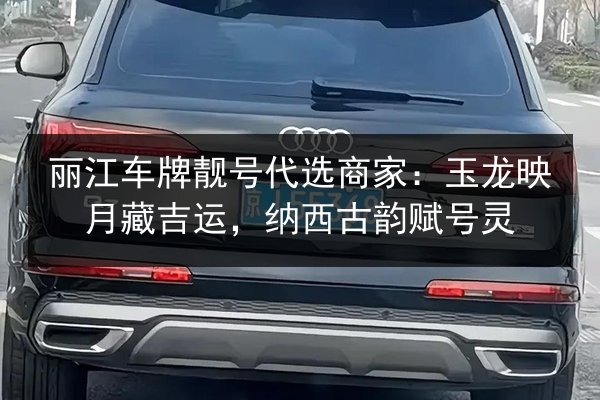 丽江车牌靓号代选商家:玉龙映月藏吉运,纳西古韵赋号灵 第2张 丽江车牌靓号代选商家:玉龙映月藏吉运,纳西古韵赋号灵 第2张