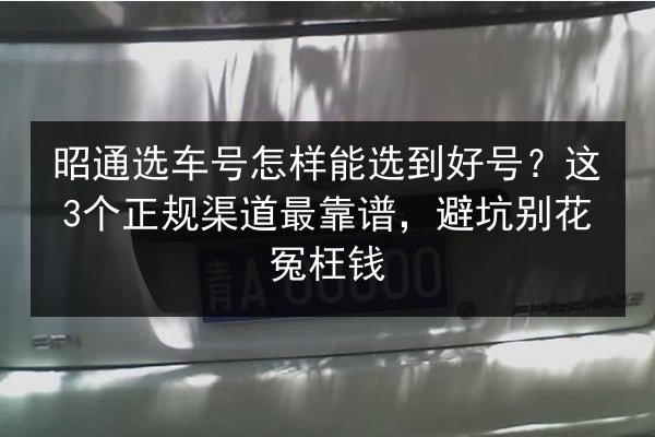 昭通选车号怎样能选到好号？这3个正规渠道最靠谱，避坑别花冤枉钱 第2张
