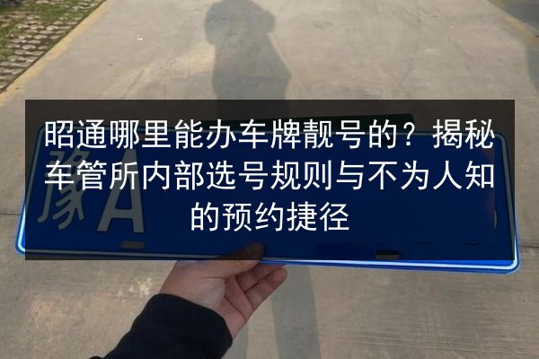 昭通哪里能办车牌靓号的?揭秘车管所内部选号规则与不为人知的预约捷径 第1张 昭通哪里能办车牌靓号的?揭秘车管所内部选号规则与不为人知的预约捷径 第1张