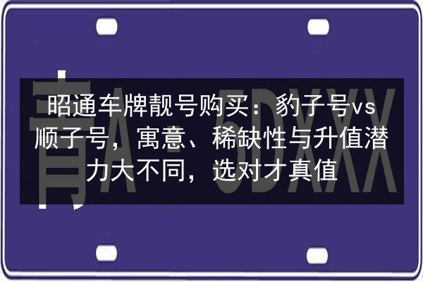 昭通车牌靓号购买:豹子号vs顺子号,寓意、稀缺性与升值潜力大不同,选对才真值 第2张 昭通车牌靓号购买:豹子号vs顺子号,寓意、稀缺性与升值潜力大不同,选对才真值 第2张