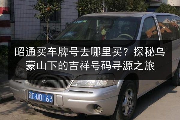 昭通买车牌号去哪里买？探秘乌蒙山下的吉祥号码寻源之旅 第3张
