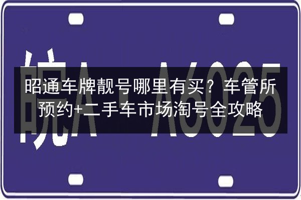 昭通车牌靓号哪里有买？车管所预约+二手车市场淘号全攻略 第3张
