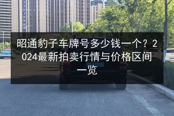 昭通豹子车牌号多少钱一个?2024最新拍卖行情与价格区间一览 第2张 昭通豹子车牌号多少钱一个?2024最新拍卖行情与价格区间一览 第2张