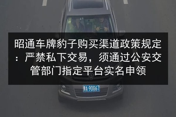 昭通车牌豹子购买渠道政策规定：严禁私下交易，须通过公安交管部门指定平台实名申领