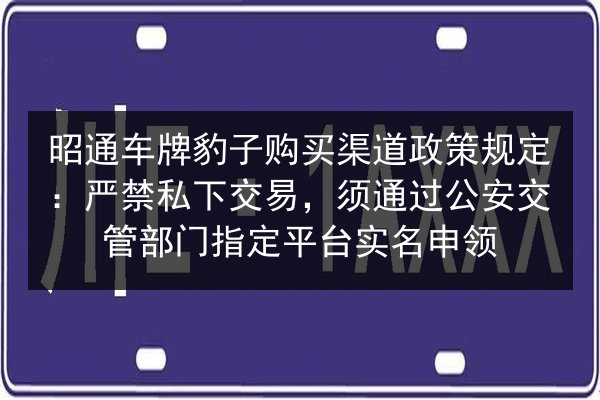 昭通车牌豹子购买渠道政策规定：严禁私下交易，须通过公安交管部门指定平台实名申领 第2张