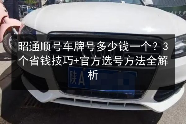 昭通顺号车牌号多少钱一个?3个省钱技巧+官方选号方法全解析 第2张 昭通顺号车牌号多少钱一个?3个省钱技巧+官方选号方法全解析 第2张