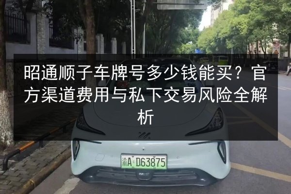 昭通顺子车牌号多少钱能买?官方渠道费用与私下交易风险全解析 第3张 昭通顺子车牌号多少钱能买?官方渠道费用与私下交易风险全解析 第3张