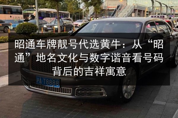 昭通车牌靓号代选黄牛：从“昭通”地名文化与数字谐音看号码背后的吉祥寓意 第2张