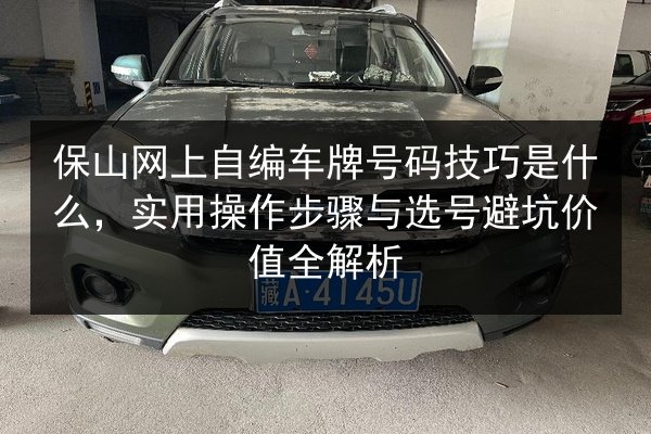 保山网上自编车牌号码技巧是什么，实用操作步骤与选号避坑价值全解析