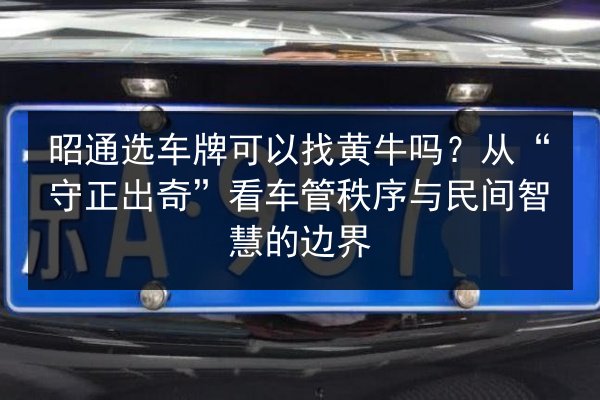 昭通选车牌可以找黄牛吗?从“守正出奇”看车管秩序与民间智慧的边界 第2张 昭通选车牌可以找黄牛吗?从“守正出奇”看车管秩序与民间智慧的边界 第2张