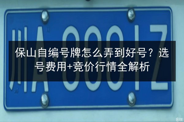 保山自编号牌怎么弄到好号？选号费用+竞价行情全解析