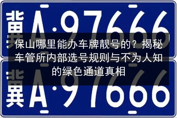 保山哪里能办车牌靓号的?揭秘车管所内部选号规则与不为人知的绿色通道真相 第1张 保山哪里能办车牌靓号的?揭秘车管所内部选号规则与不为人知的绿色通道真相 第1张