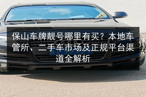 保山车牌靓号哪里有买？本地车管所、二手车市场及正规平台渠道全解析 第2张