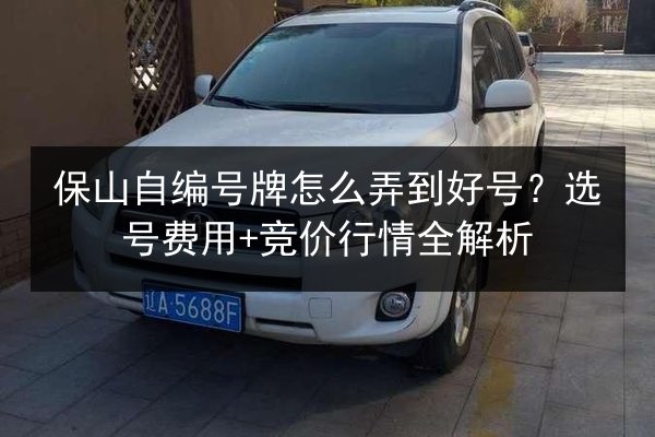 保山自编号牌怎么弄到好号？选号费用+竞价行情全解析 第2张
