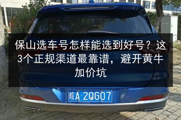保山选车号怎样能选到好号？这3个正规渠道最靠谱，避开黄牛加价坑 第3张