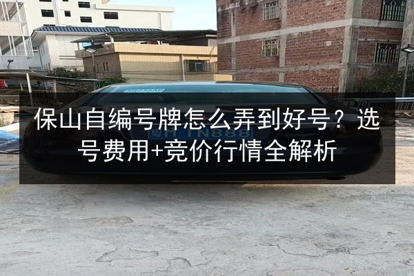 保山自编号牌怎么弄到好号？选号费用+竞价行情全解析 第3张