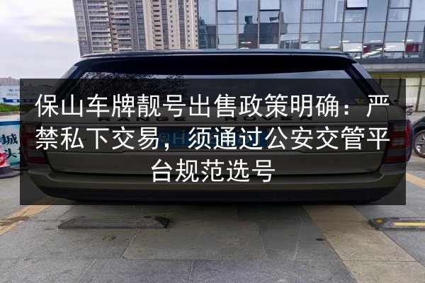 保山车牌靓号出售政策明确：严禁私下交易，须通过公安交管平台规范选号 第2张