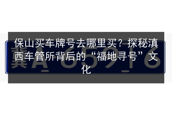 保山买车牌号去哪里买？探秘滇西车管所背后的“福地寻号”文化