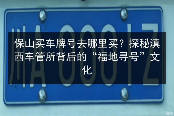 保山买车牌号去哪里买？探秘滇西车管所背后的“福地寻号”文化 第2张