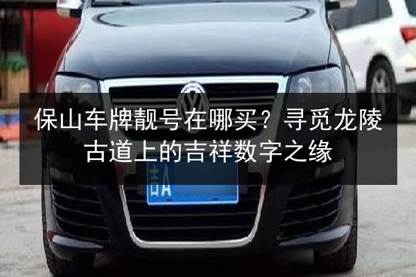 保山车牌靓号在哪买？寻觅龙陵古道上的吉祥数字之缘