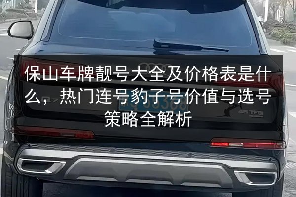 保山车牌靓号大全及价格表是什么,热门连号豹子号价值与选号策略全解析 第2张 保山车牌靓号大全及价格表是什么,热门连号豹子号价值与选号策略全解析 第2张